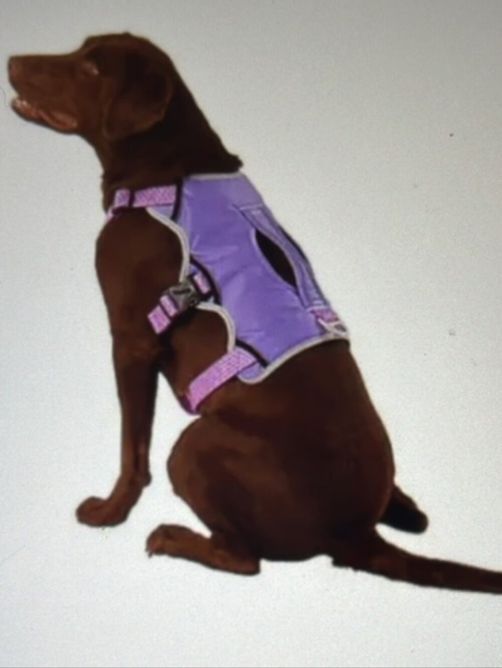ARCADIA TRAIL Ultimate Security DOG Harness, Color: Purple & Pink NWT XXL